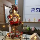 화명금화 이미지