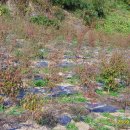 목원농장 이미지