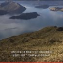 자연사슴농장 이미지