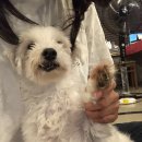 38점5도씨 이미지