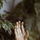 중한반점 이미지