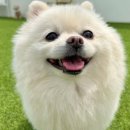 털로덮인친구들 수원시청역점 이미지