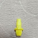 옐로우샤크 이미지