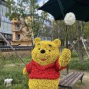 강원감영 이미지