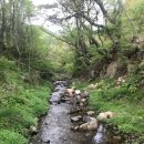 미현리농장 이미지