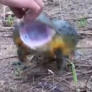 철철닷컴 이미지