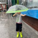 과학마술콘서트 | 원더매직의 과학 마술 콘서트 관람 후기