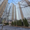 해마루초등학교 | 구미 도배 옥계 세영리첼 아파트 lx지인의 디아망과 베스띠의 조합