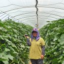 조미영농장 이미지