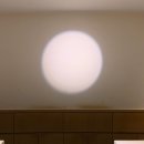 스시마을 | 서래마을 오마카세 스시쇼우 내돈내산 후기