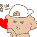 본정초콜릿카페