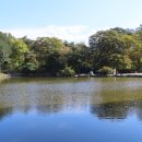 창경궁 가을산책 2 이미지