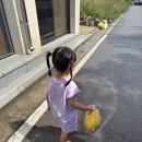 삼성하늘숲어린이집 | 고마워토토 청주점 실내숲체험 옥수수 위를 걸어요 5살 다녀온 솔직후기