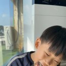 마량회타운 이미지