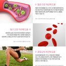 월드비에스