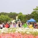 천안상록리조트 이미지