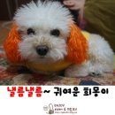 낼름 낼름 이미지