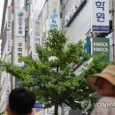 강남-291 이미지