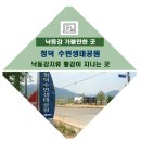 청덕수변생태공원 이미지
