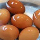 비니원 이미지