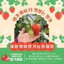 정태권도 이미지