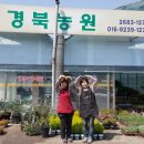 광명농원 이미지