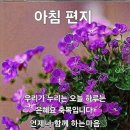 오늘은