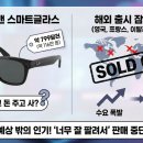 스마트글라스