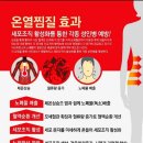 1도의 기적 이미지