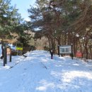 아미산숲센터 이미지