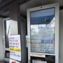 대천해수욕장 | [충남 보령] 대천해수욕장 스카이바이크 내돈내산 후기