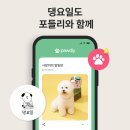 댕요일 이미지