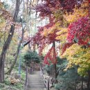 건강마당공원 이미지