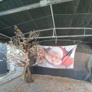 영월화석박물관 | 영월캠핑장 별빛 가득한 밤을 보낸 다올캠핑장 가족 캠핑 후기