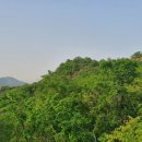 2021-주165 이미지