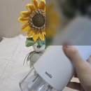 안개숲 | 사무실의 필수템, 알리사 숲속안개 미니 무선 가습기 사용 후기