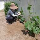 설봉경로당 이미지