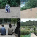부부옥수수 이미지