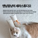 냥냥펀치 이미지