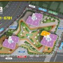 산호아파트앞 이미지