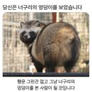 목련정육점 | [2026년 3월 리뷰] 미지근한 마음을 유지하는 나날이지만