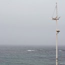 주문8리 이미지