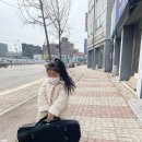 영심포니 이미지