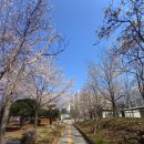 마재근린공원 이미지