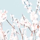 [337] World Scripture - The search for Knowledge - 2. Know Thyself 이미지