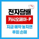 전자담배 카시오페아-P 예약, 지금 놓치면 후회! [2025 최신 완벽 가이드]