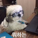 그래요
