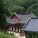 성륜사 | 숨겨진 보물, 성륜사 탐방 여행 후기