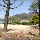 자천초등학교보현분교 이미지