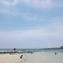 터낭하우스 이미지